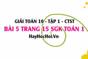 Giải bài 5 trang 15 Toán 10 tập 1 SGK Chân trời sáng tạo